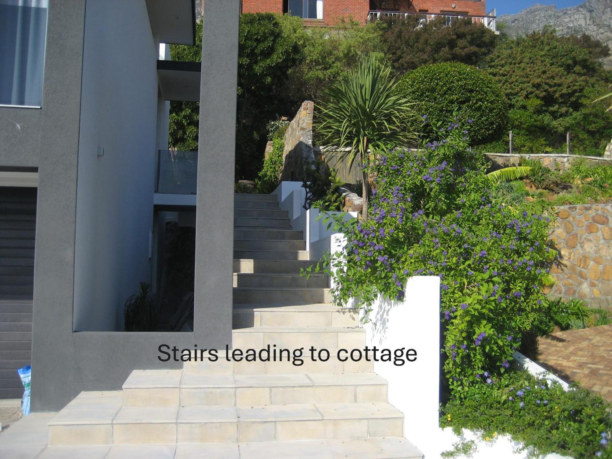 Camps Bay Cosy Accommodation كيب تاون المظهر الخارجي الصورة